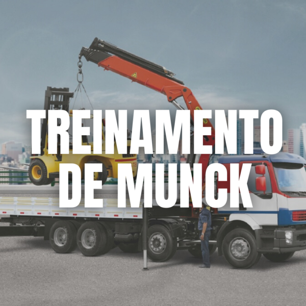 OPERADOR DE CAMINHÃO GUINDAUTO (MUNK)